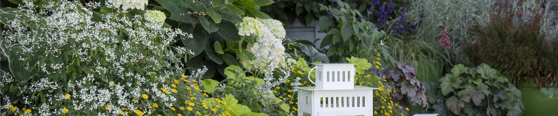 Laternen im Garten Laternen im Garten