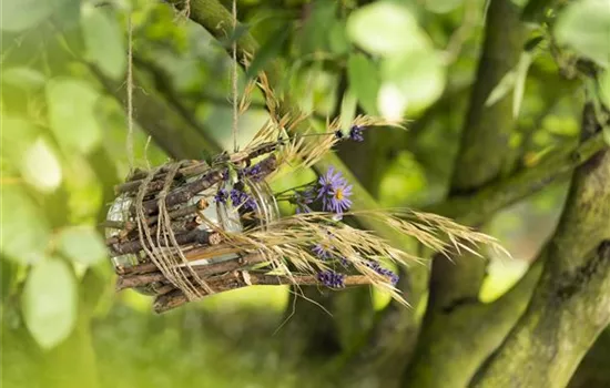 Ein Vogelhaus aus einem Weckglas - gläserner Futter-Stopp für Vögel Ein Vogelhaus aus einem Weckglas - gläserner Futter-Stopp für Vögel