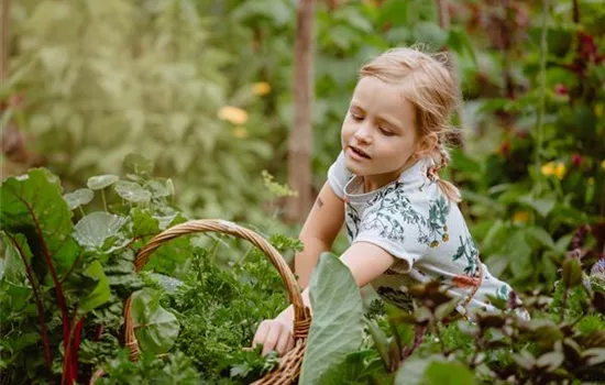 Jetzt kann geerntet werden! Kinder spielerisch einbeziehen Jetzt kann geerntet werden! Kinder spielerisch einbeziehen