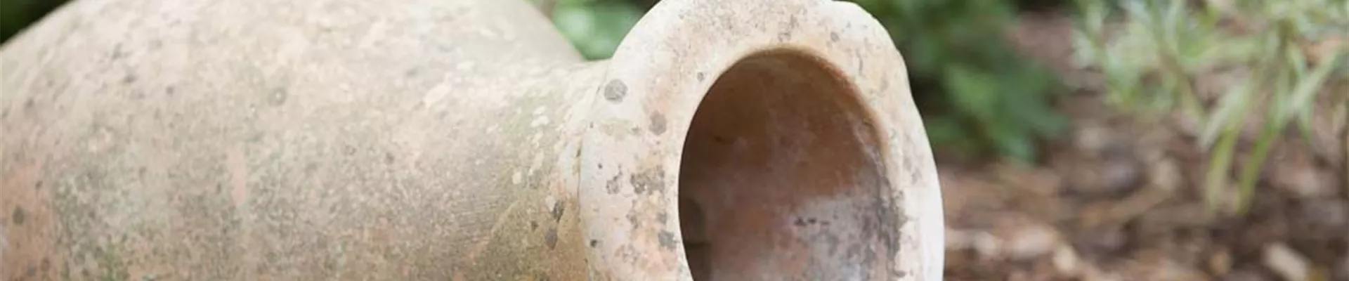 Gefäße im Garten Gefäße im Garten