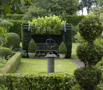 Auf die Form gekommen – Formgehölze im Garten Auf die Form gekommen – Formgehölze im Garten
