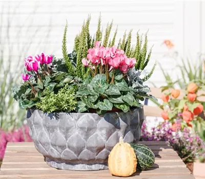 Aus alt mach neu: Blumenkübel nicht wegwerfen! Aus alt mach neu: Blumenkübel nicht wegwerfen!