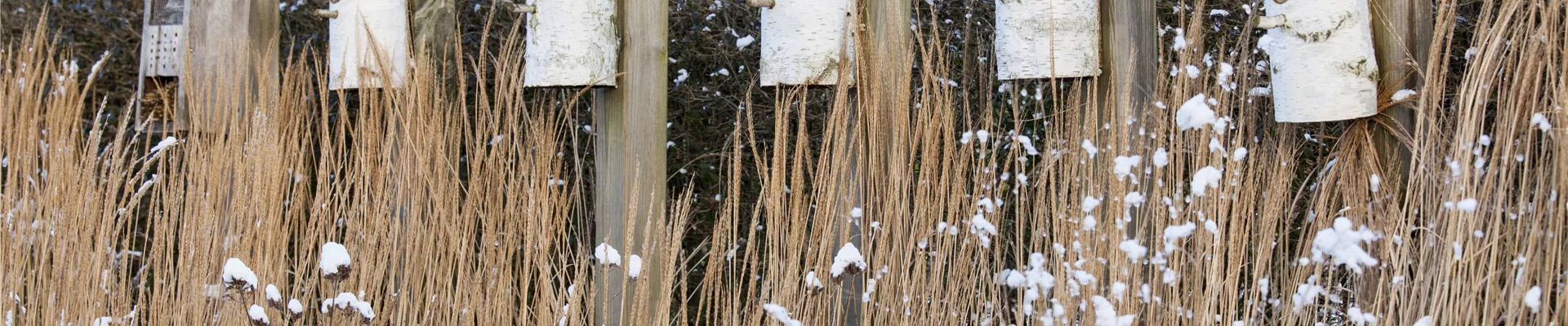 Vogelhaus schneebedeckt Vogelhaus schneebedeckt