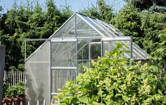 Ein Gewächshaus anlegen Ein Gewächshaus anlegen