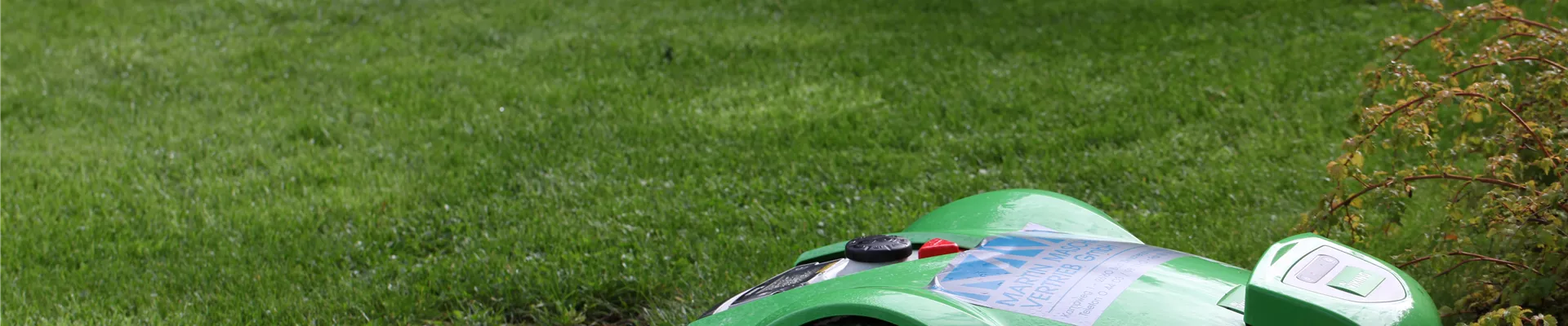 Rasenmäher Rasenmäher
