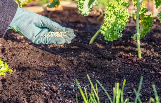 Dünger ist nicht gleich Dünger Dünger ist nicht gleich Dünger
