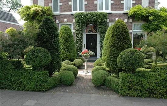 Top in Form – Büsche regelmäßig schneiden Top in Form – Büsche regelmäßig schneiden