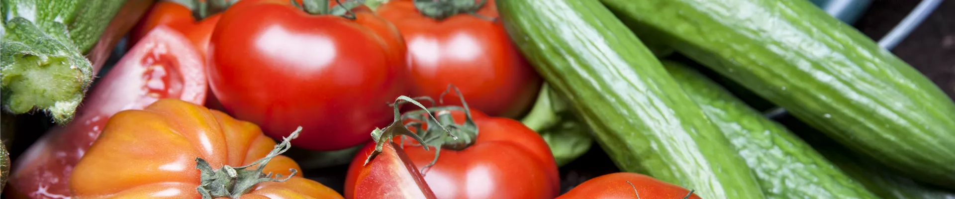 Fruchtgemüse Fruchtgemüse