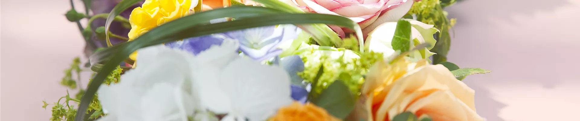 Rosa, rosa Rosa, rosa