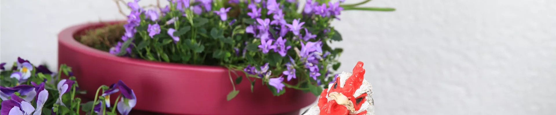 Frühlingsmix Frühlingsmix