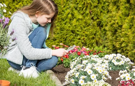 Vorsicht Garten – sichere Pflanzen für Kinder und Tiere Vorsicht Garten – sichere Pflanzen für Kinder und Tiere