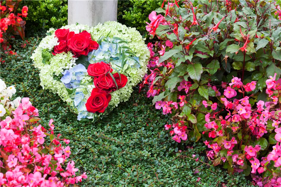 Das Grab im Sommer – die richtigen Blumen finden